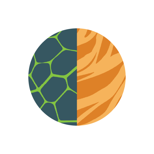 Blue Honeycomb Zebra