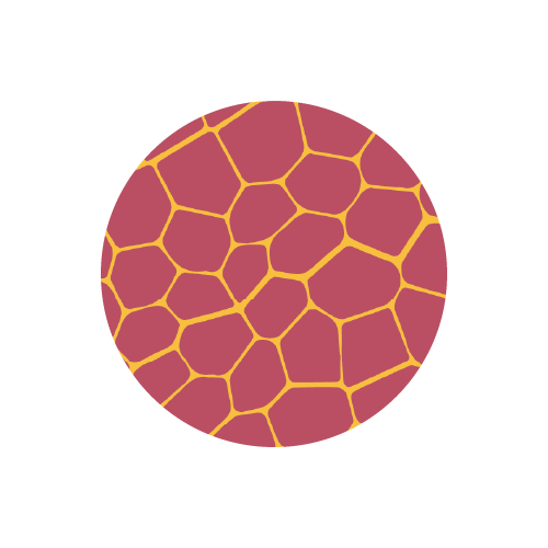 Blush Honeycomb